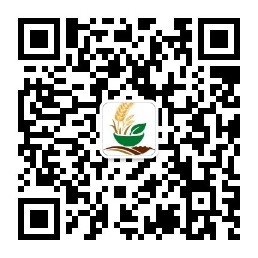 微信公众号