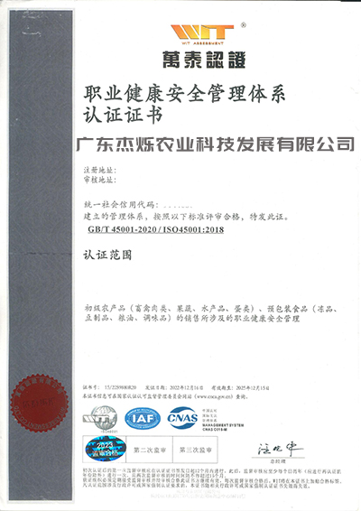 ISO45001职业健康安全管理体系认证